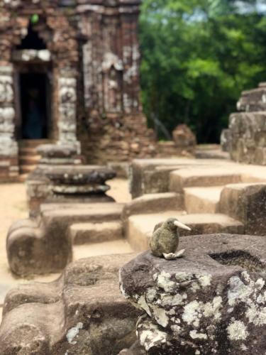 My son hoi an tour templi 5