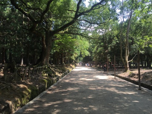 nara e fujimi inari9309