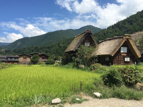 shirakawago9513