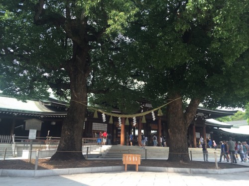 tempio meiji yoyogi505