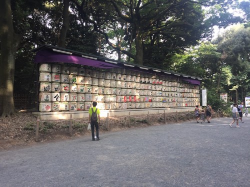 tempio meiji yoyogi509